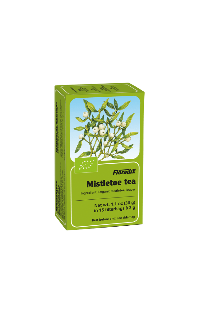 Organic Mistletoe Tea